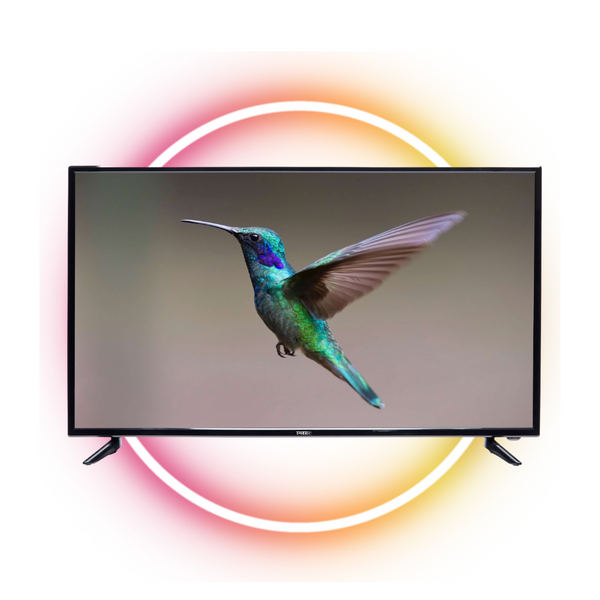 T4tec British Design | 32" HD Panel / Monitor| TT3213UH  | UK product | Affordable technology for modern living